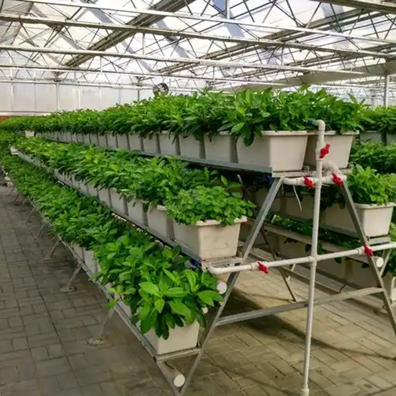 三门峡市植物工厂智能温室 - 排名