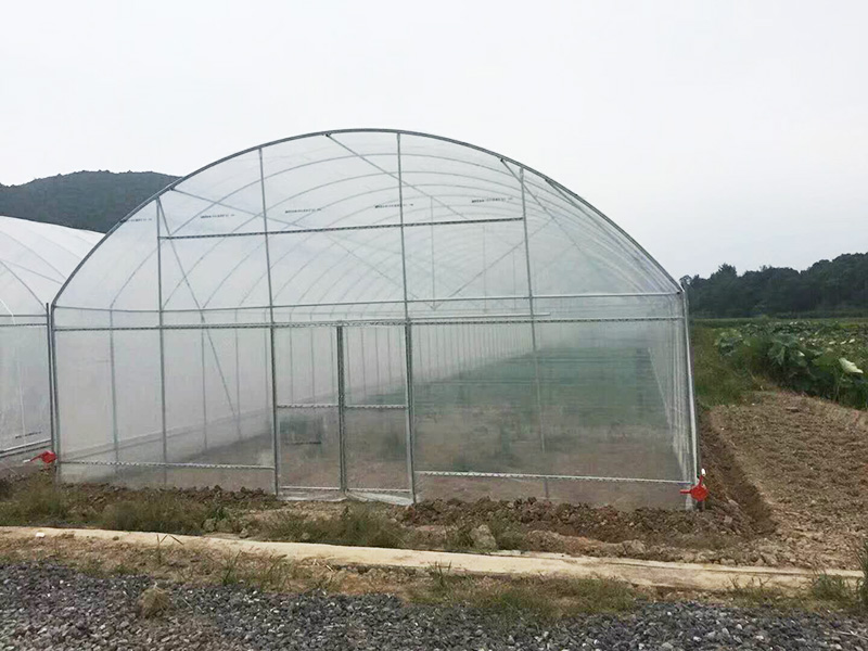 三门峡市薄膜大棚无土栽培 - 价格